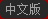 中文版